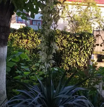 Homestay Casa Melissa 2 Mai