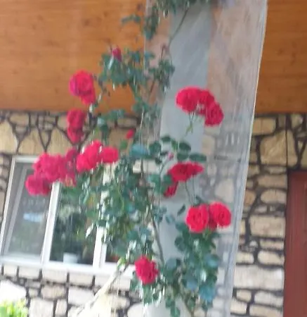 Homestay Casa Melissa