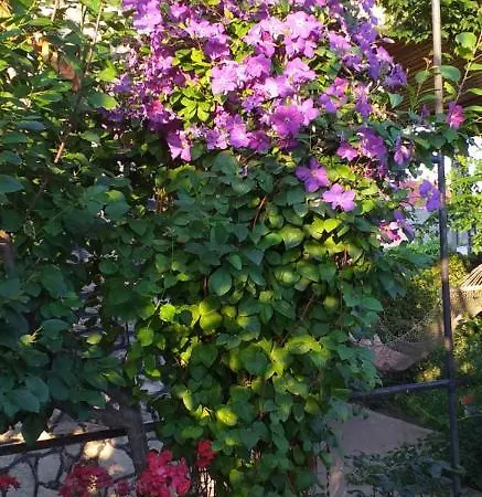 Casa Melissa